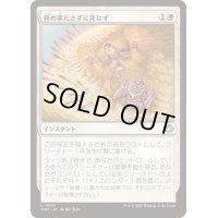 [EX+](FOIL)務め果たさずに死なず/Duty Beyond Death《日本語》【TDM】
