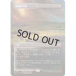 画像1: [EX+](FOIL)(フルアート)(0110)湿地の干潟/Marsh Flats《日本語》【SPG】