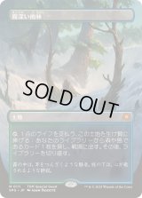 (FOIL)(フルアート)(0111)霧深い雨林/Misty Rainforest《日本語》【SPG】