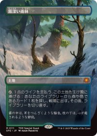 (フルアート)(0111)霧深い雨林/Misty Rainforest《日本語》【SPG】