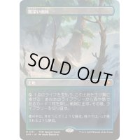 (FOIL)(フルアート)(0111)霧深い雨林/Misty Rainforest《日本語》【SPG】