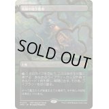 [EX+](FOIL)(フルアート)(0113)新緑の地下墓地/Verdant Catacombs《日本語》【SPG】