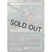 [EX+](FOIL)(フルアート)(0113)新緑の地下墓地/Verdant Catacombs《日本語》【SPG】