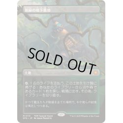 画像1: [EX+](FOIL)(フルアート)(0113)新緑の地下墓地/Verdant Catacombs《日本語》【SPG】