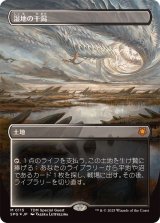 [EX+](ドラゴンスケイルFOIL)湿地の干潟/Marsh Flats《日本語》【SPG】