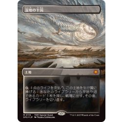 画像1: (ドラゴンスケイルFOIL)湿地の干潟/Marsh Flats《日本語》【SPG】