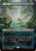[EX+](ドラゴンスケイルFOIL)霧深い雨林/Misty Rainforest《日本語》【SPG】