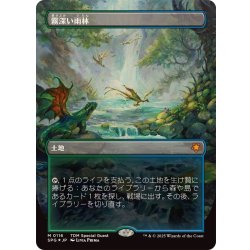 画像1: [EX+](ドラゴンスケイルFOIL)霧深い雨林/Misty Rainforest《日本語》【SPG】