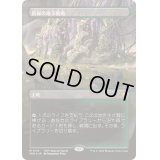 (ドラゴンスケイルFOIL)新緑の地下墓地/Verdant Catacombs《日本語》【SPG】