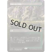 (ドラゴンスケイルFOIL)新緑の地下墓地/Verdant Catacombs《日本語》【SPG】