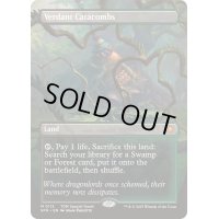 [EX+](FOIL)(フルアート)(0113)新緑の地下墓地/Verdant Catacombs《英語》【SPG】