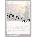 神聖な訪問/Divine Visitation《日本語》【TDC】