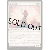 翼套の司祭/Wingmantle Chaplain《日本語》【TDC】