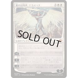 画像1: [EX+]嵐の討伐者、エルズペス/Elspeth, Storm Slayer《日本語》【TDM】