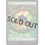 (FOIL)(フルアート)(0291)森/Forest《英語》【TDM】
