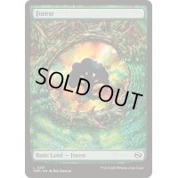 (FOIL)(フルアート)(0291)森/Forest《英語》【TDM】