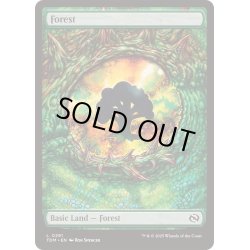 画像1: [EX+](フルアート)(0291)森/Forest《英語》【TDM】