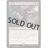 屍術淘汰/Necromantic Selection《日本語》【TDC】