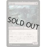 肢体の壁/Wall of Limbs《日本語》【TDC】