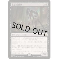 悲哀の徘徊者/Woe Strider《日本語》【TDC】