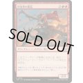 [EX+]甲虫背の酋長/Beetleback Chief《日本語》【TDC】