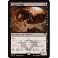 (FOIL)陥没孔の偵察員/Sinkhole Surveyor《日本語》【TDM】