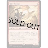 竜使いののけ者/Dragonmaster Outcast《日本語》【TDC】