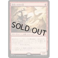 竜使いののけ者/Dragonmaster Outcast《日本語》【TDC】
