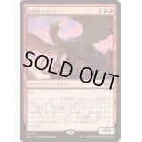 日和見ドラゴン/Opportunistic Dragon《日本語》【TDC】