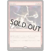 [EX+]嵐の怒り/Storm's Wrath《日本語》【TDC】