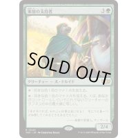 [EX+]東屋の支持者/Arbor Adherent《日本語》【TDC】