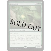 [EX+]林冠の巨龍/Canopy Gargantuan《日本語》【TDC】