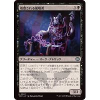 (FOIL)敬慕される嵐唱者/Venerated Stormsinger《日本語》【TDM】