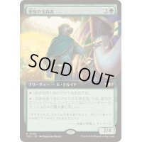 (フルアート)東屋の支持者/Arbor Adherent《日本語》【TDC】