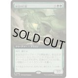(フルアート)林冠の巨龍/Canopy Gargantuan《日本語》【TDC】
