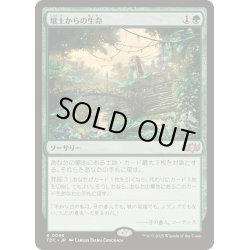 画像1: [EX+]壌土からの生命/Life from the Loam《日本語》【TDC】
