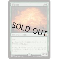 解放の樹/Tree of Redemption《日本語》【TDC】