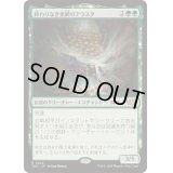 終わりなき巣網のアラスタ/Arasta of the Endless Web《日本語》【TDC】