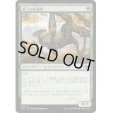 樹上の草食獣/Arboreal Grazer《日本語》【TDC】