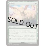 突撃陣形/Assault Formation《日本語》【TDC】