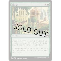 画像1: [EX+]遥か見/Farseek《日本語》【TDC】
