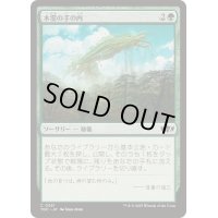 木霊の手の内/Kodama's Reach《日本語》【TDC】