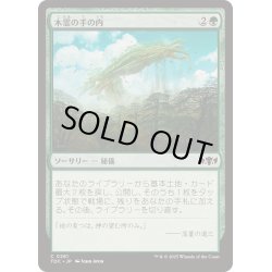 画像1: 木霊の手の内/Kodama's Reach《日本語》【TDC】
