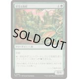 草茂る胸壁/Overgrown Battlement《日本語》【TDC】