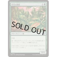 草茂る胸壁/Overgrown Battlement《日本語》【TDC】