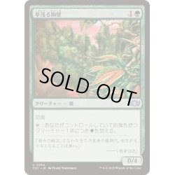 画像1: 草茂る胸壁/Overgrown Battlement《日本語》【TDC】
