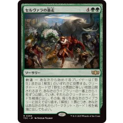 画像1: [EX+]セルヴァラの暴走/Selvala's Stampede《日本語》【TDC】