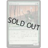 春花のドルイド/Springbloom Druid《日本語》【TDC】