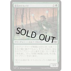 画像1: 春花のドルイド/Springbloom Druid《日本語》【TDC】