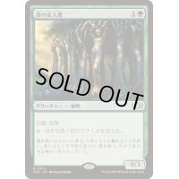 森の女人像/Sylvan Caryatid《日本語》【TDC】